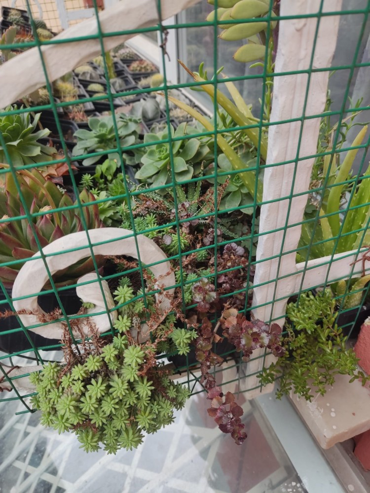 WhatsApp Image 2026-01-31 at 13.44.44(1).jpeg