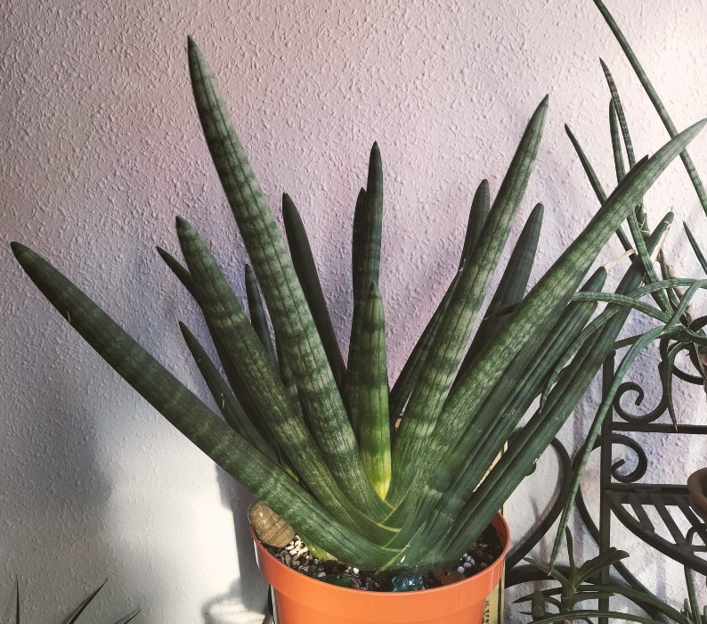 Captura de pantalla 2026-02-03 101907.jpg