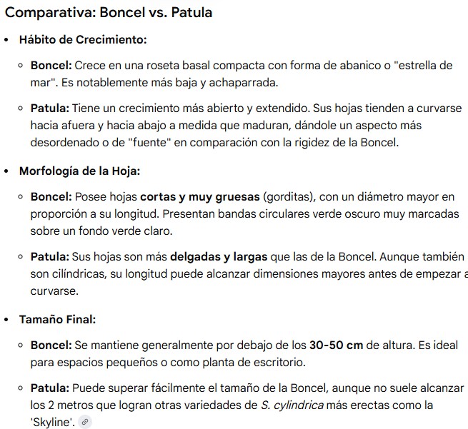 Captura de pantalla 2026-02-05 095616.jpg