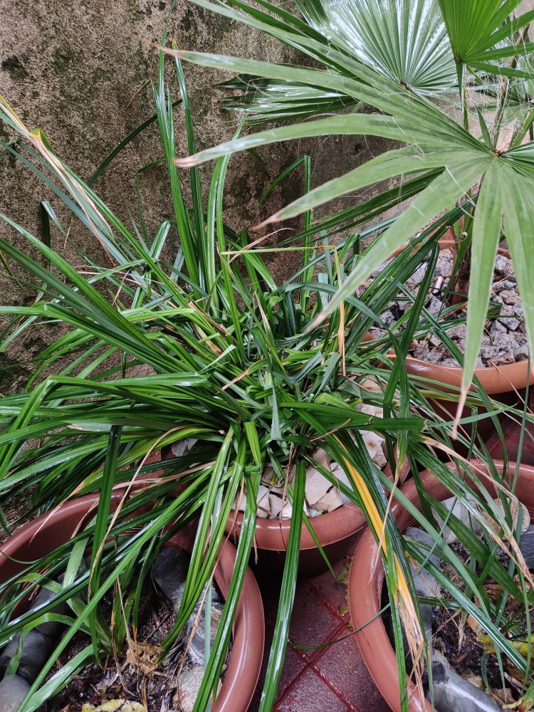 WhatsApp Image 2026-02-13 at 00.20.50.jpeg