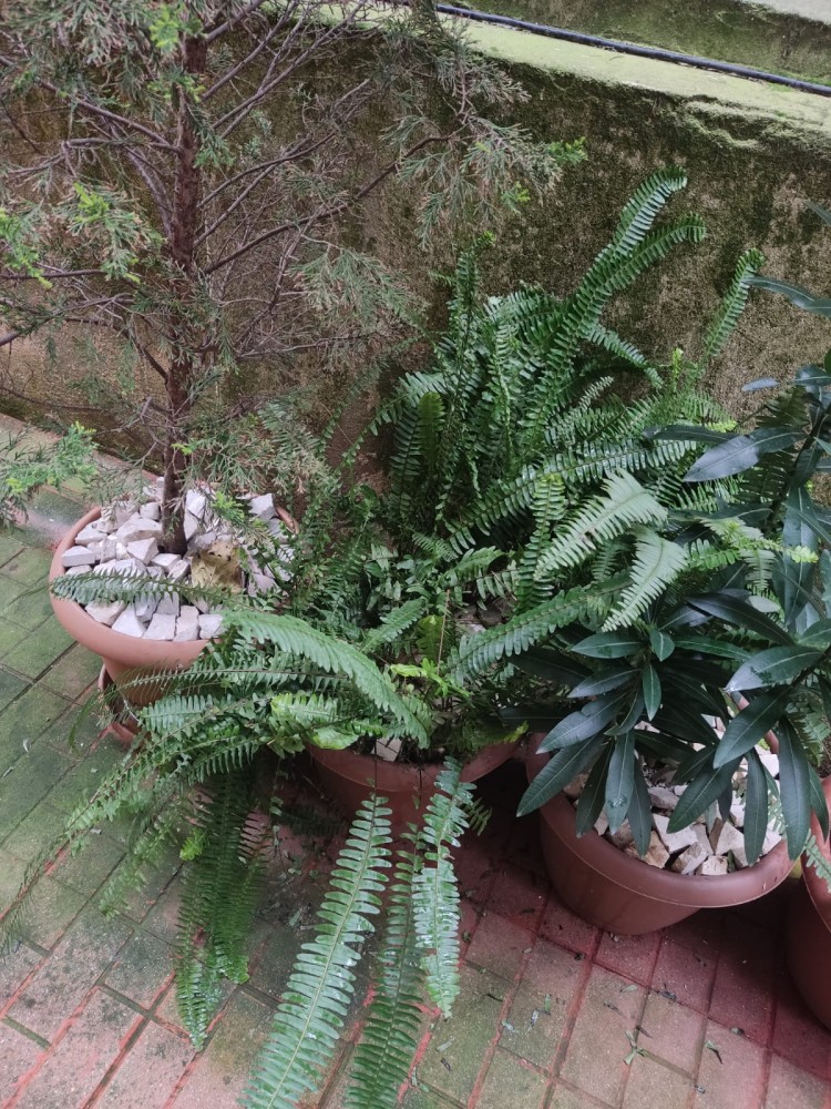 WhatsApp Image 2026-02-13 at 00.20.53.jpeg