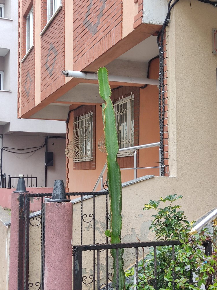 WhatsApp Image 2026-02-13 at 00.20.51.jpeg