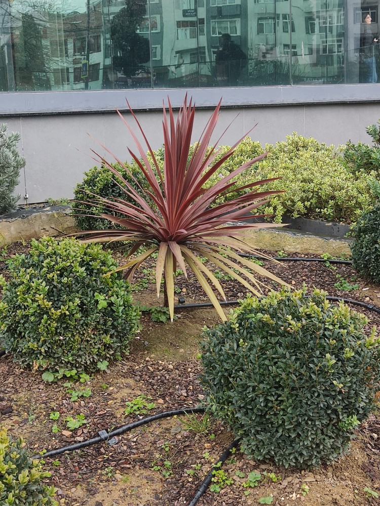 WhatsApp Image 2026-02-13 at 00.20.51(1).jpeg