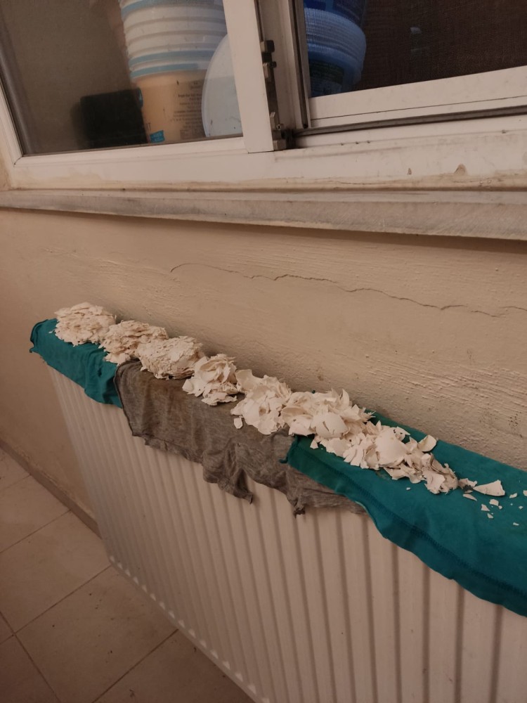 WhatsApp Image 2026-02-13 at 15.52.11.jpeg