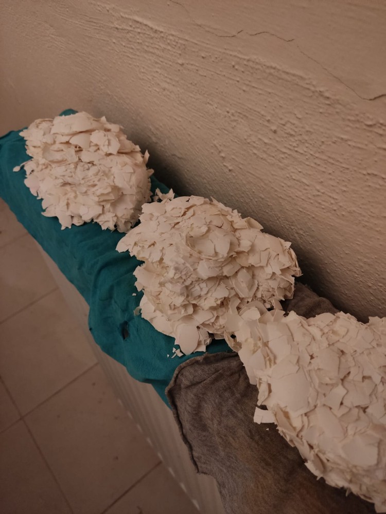 WhatsApp Image 2026-02-13 at 15.52.10.jpeg