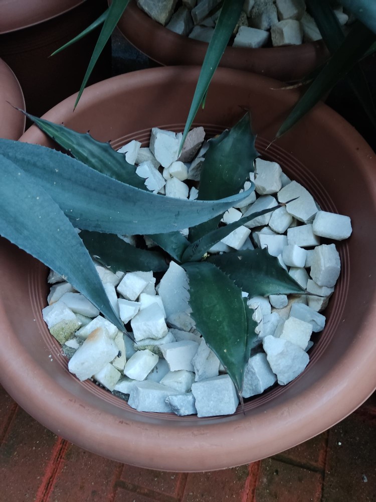 WhatsApp Image 2026-02-14 at 18.37.25.jpeg