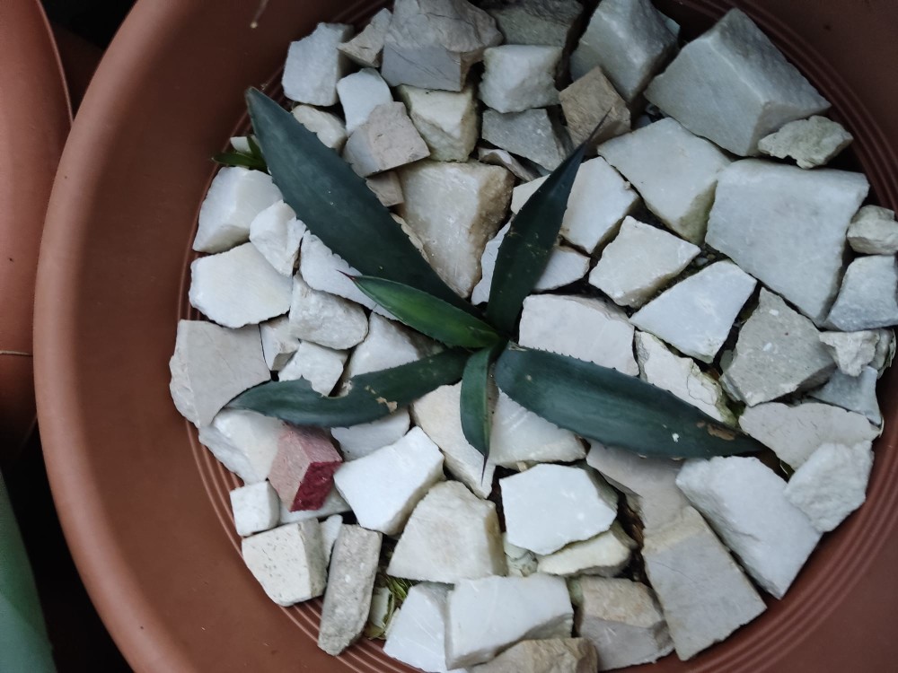 WhatsApp Image 2026-02-14 at 18.37.25(1).jpeg