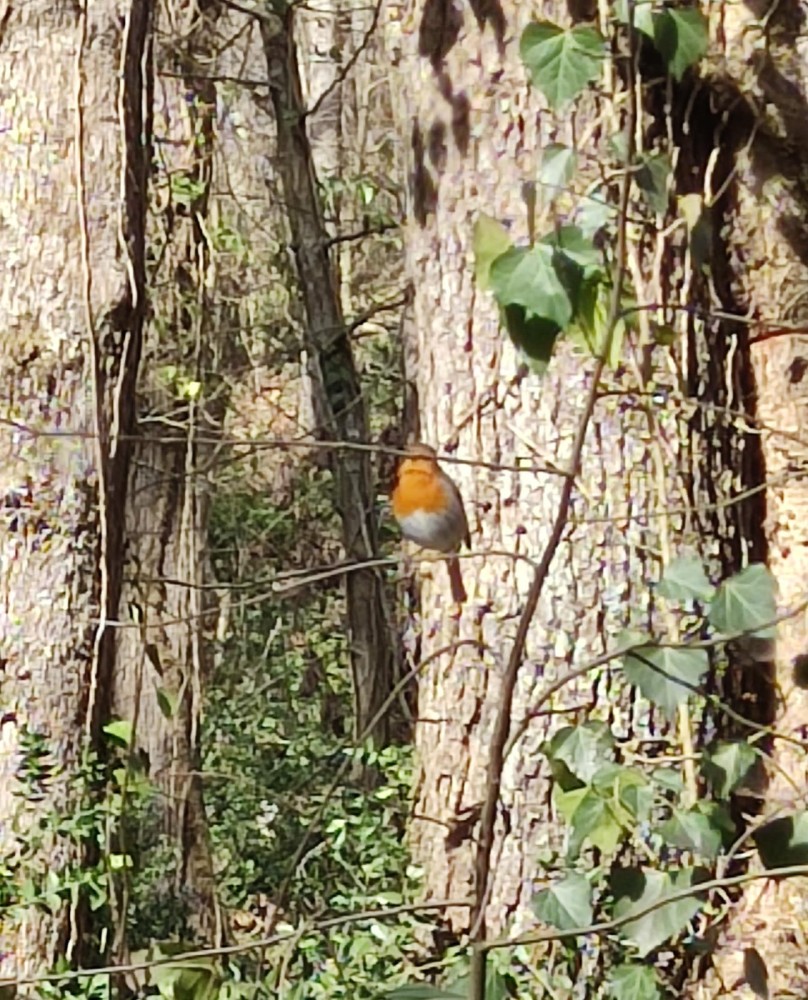 WhatsApp Image 2026-02-16 at 20.43.57(1).jpeg