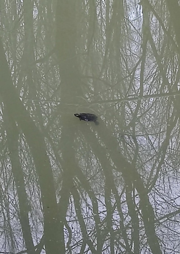 WhatsApp Image 2026-02-16 at 20.58.44.jpeg