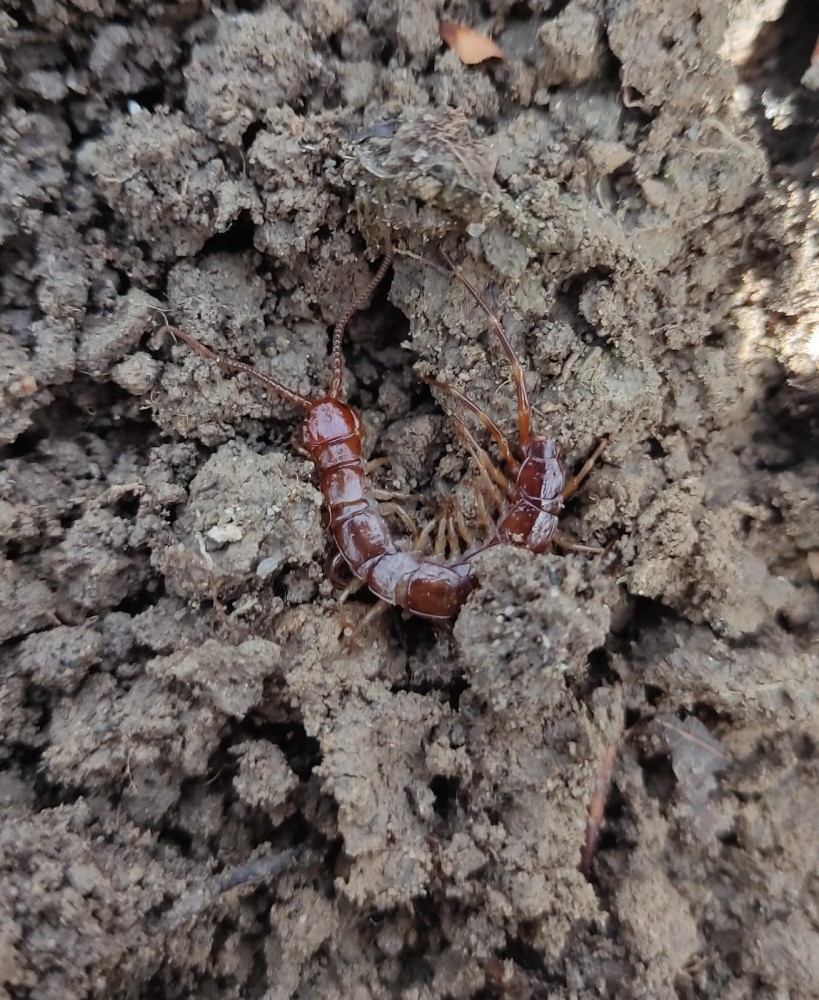 WhatsApp Image 2026-02-16 at 20.58.44(1).jpeg