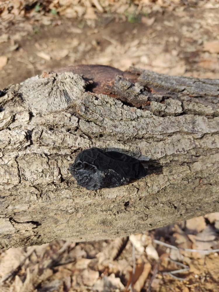 WhatsApp Image 2026-02-16 at 20.41.16(1).jpeg