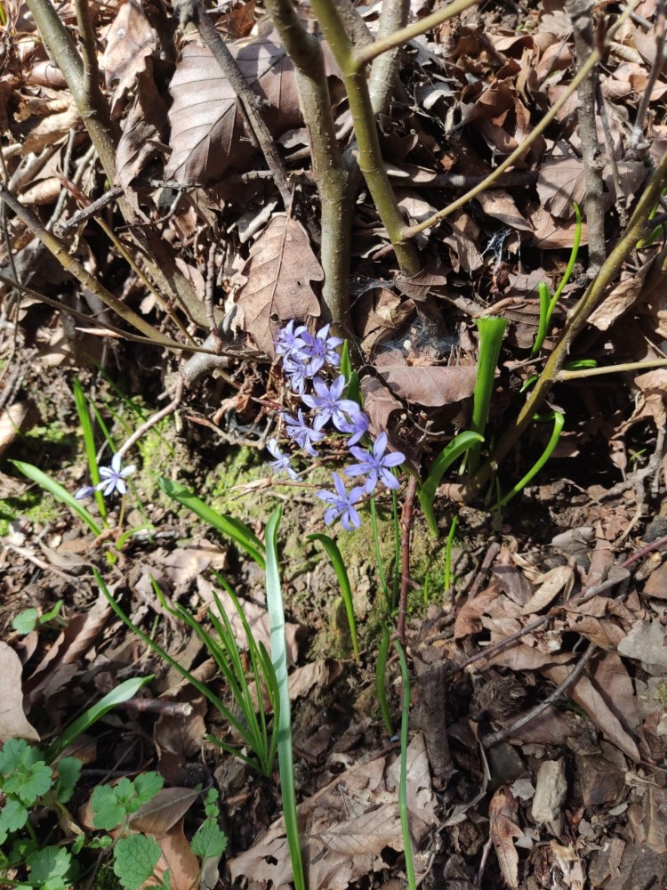 WhatsApp Image 2026-02-16 at 20.41.17(1).jpeg