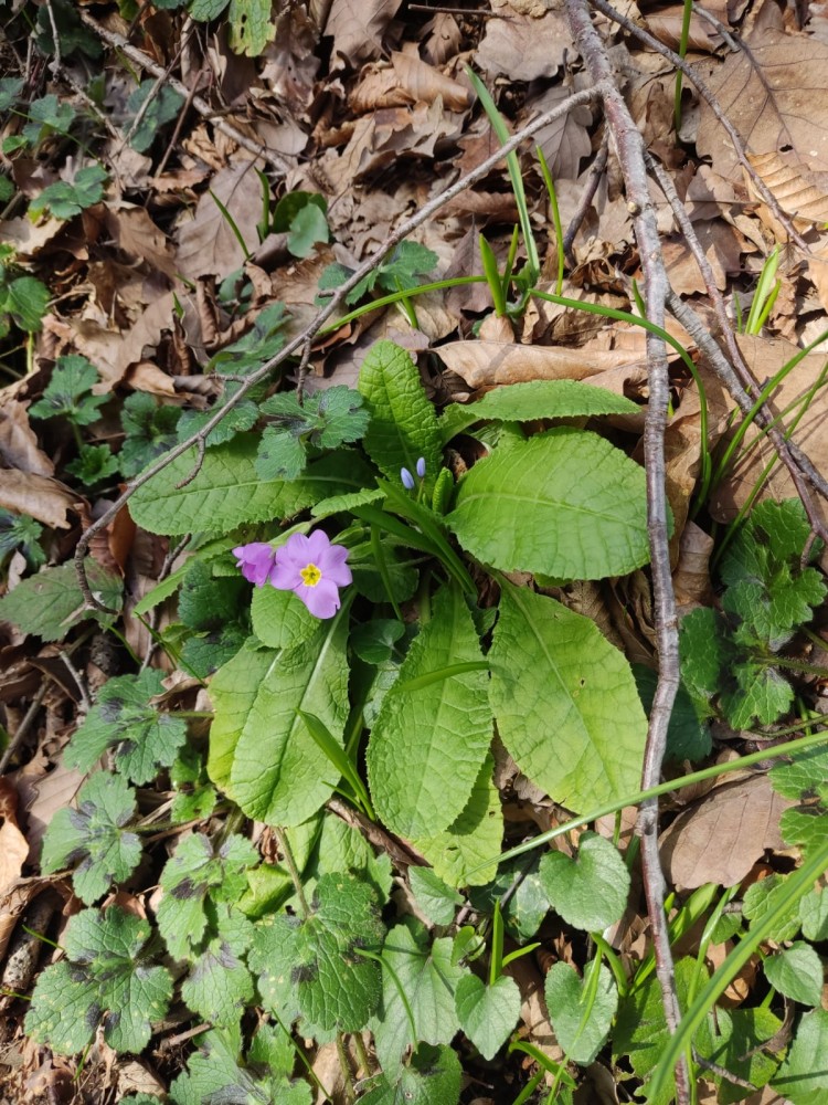 WhatsApp Image 2026-02-16 at 20.41.17.jpeg