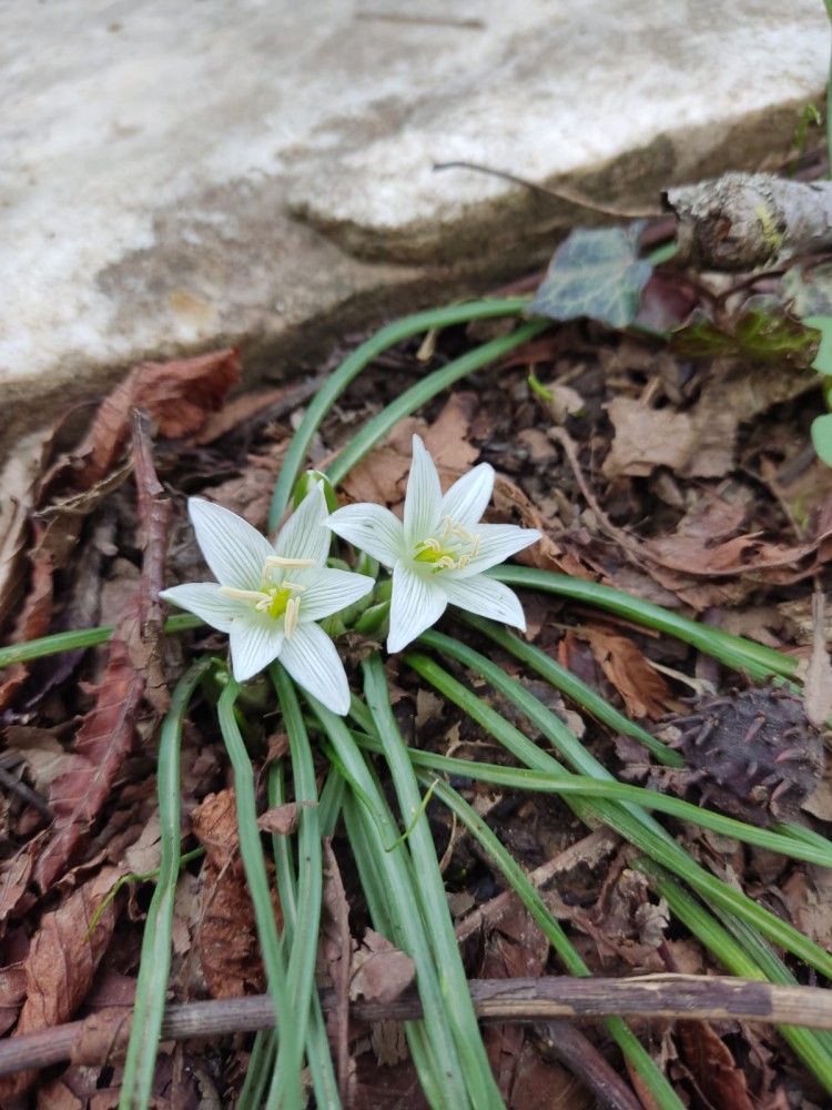 WhatsApp Image 2026-02-16 at 20.41.14(1).jpeg