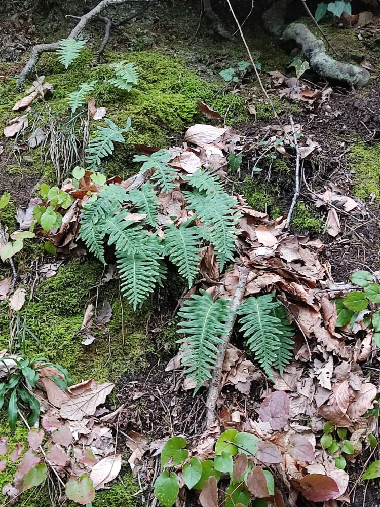 WhatsApp Image 2026-02-16 at 20.41.14.jpeg