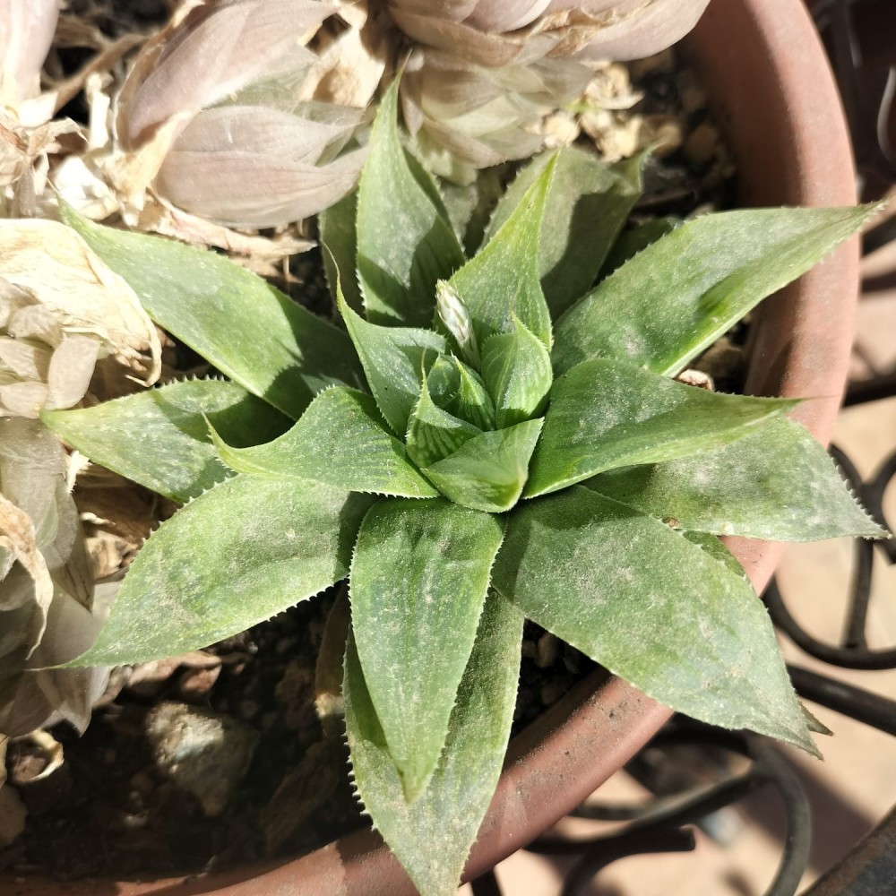 WhatsApp Image 2026-02-14 at 13.12.41 (2).jpeg