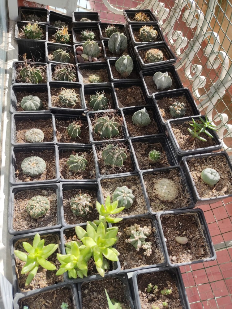 WhatsApp Image 2026-02-20 at 14.57.50.jpeg