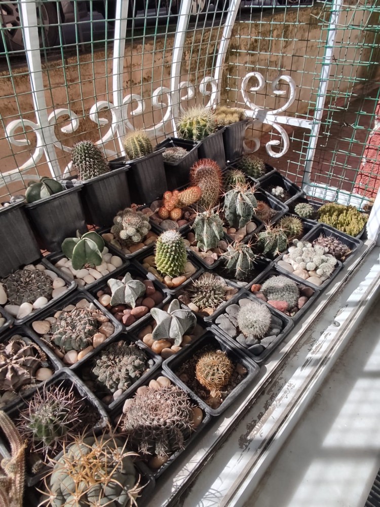 WhatsApp Image 2026-02-20 at 14.57.51 (1).jpeg