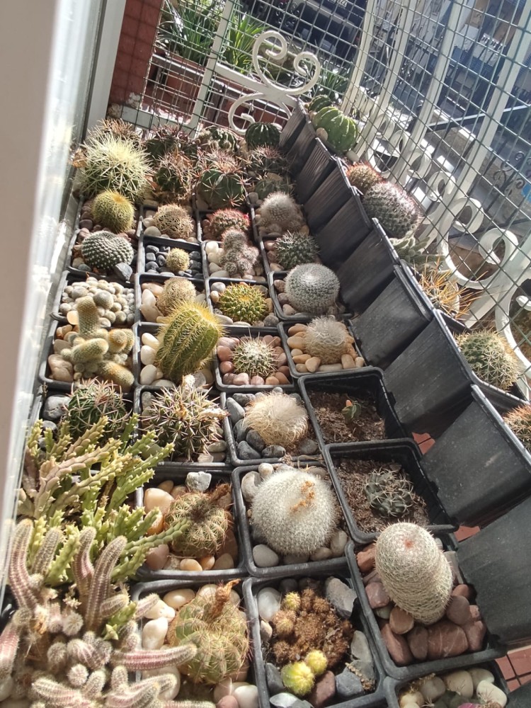 WhatsApp Image 2026-02-20 at 14.57.51.jpeg