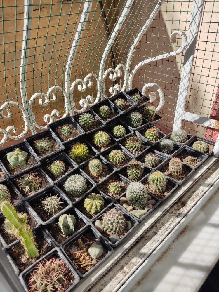 WhatsApp Image 2026-02-20 at 14.57.53.jpeg