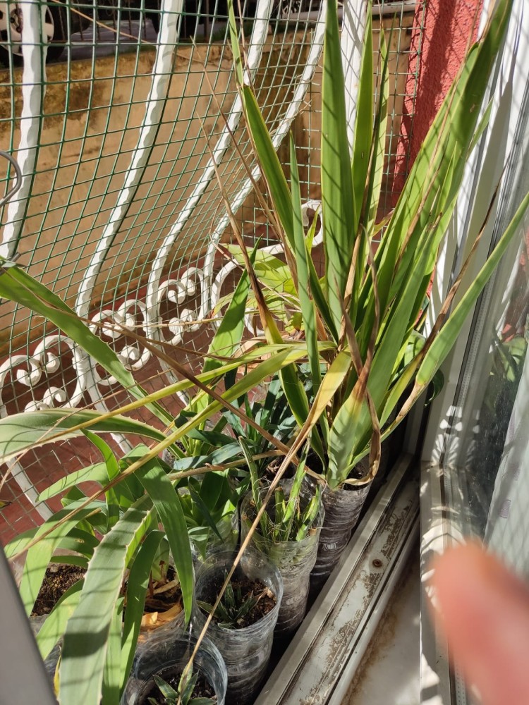 WhatsApp Image 2026-02-20 at 14.57.50 (1).jpeg