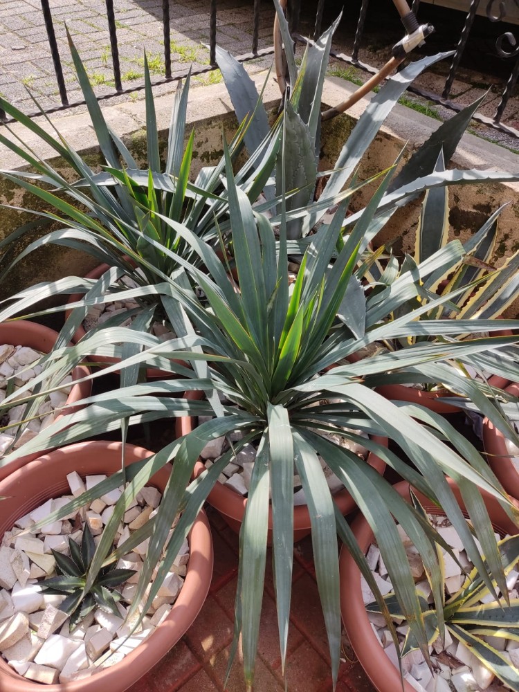 WhatsApp Image 2026-02-21 at 20.31.26 (2).jpeg