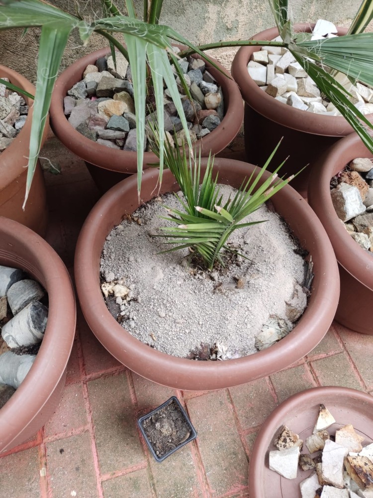 WhatsApp Image 2026-02-21 at 20.31.26.jpeg