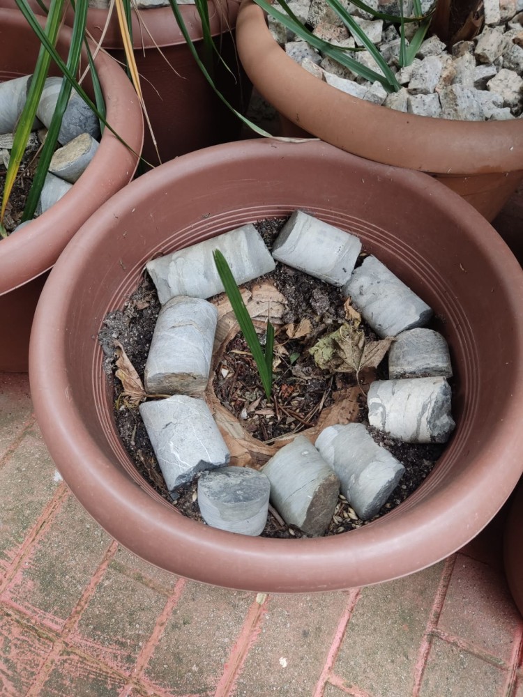 WhatsApp Image 2026-02-21 at 20.31.26 (1).jpeg