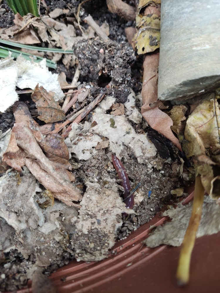 WhatsApp Image 2026-02-21 at 20.31.25.jpeg