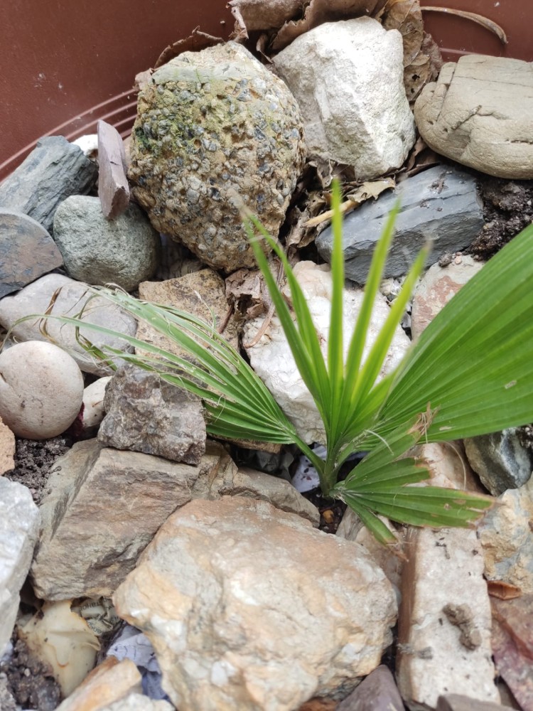 WhatsApp Image 2026-02-21 at 20.31.25 (1).jpeg