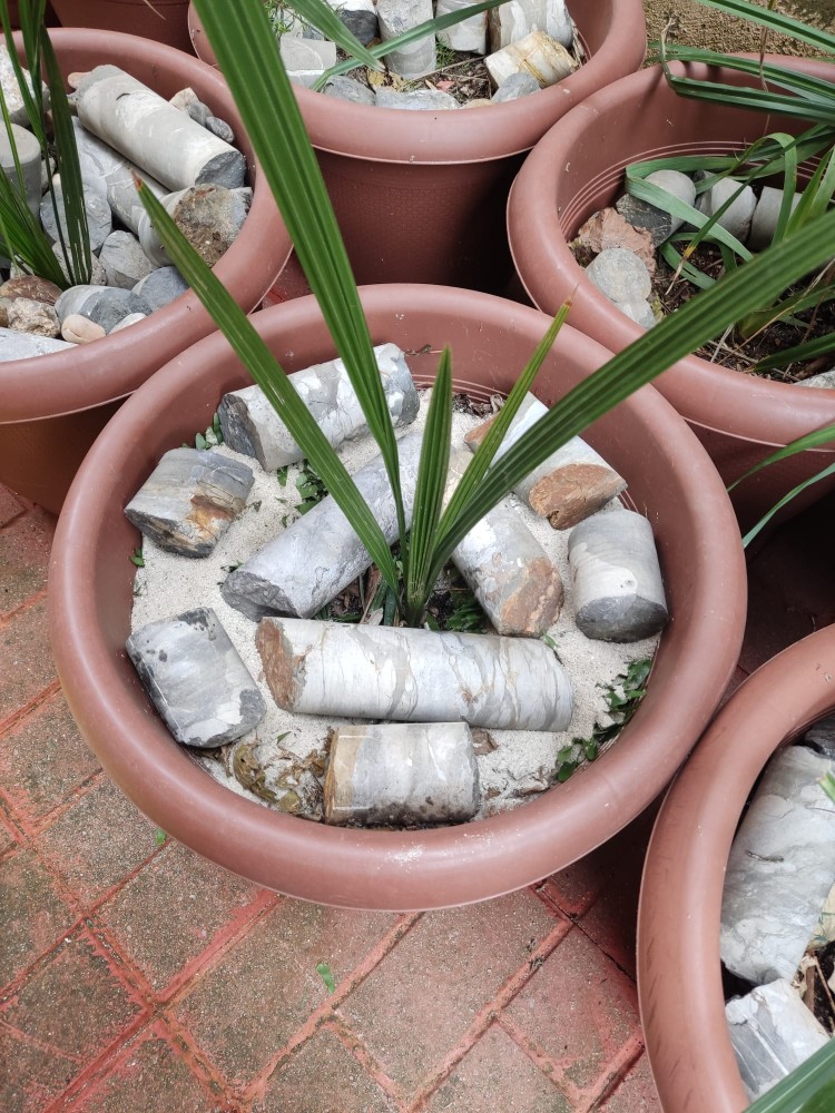 WhatsApp Image 2026-02-21 at 20.31.24 (3).jpeg