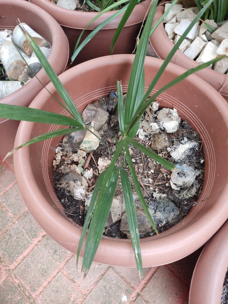 WhatsApp Image 2026-02-21 at 20.31.24 (2).jpeg