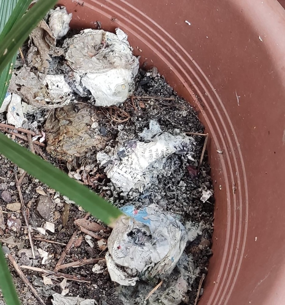 WhatsApp Image 2026-02-21 at 22.44.19.jpeg