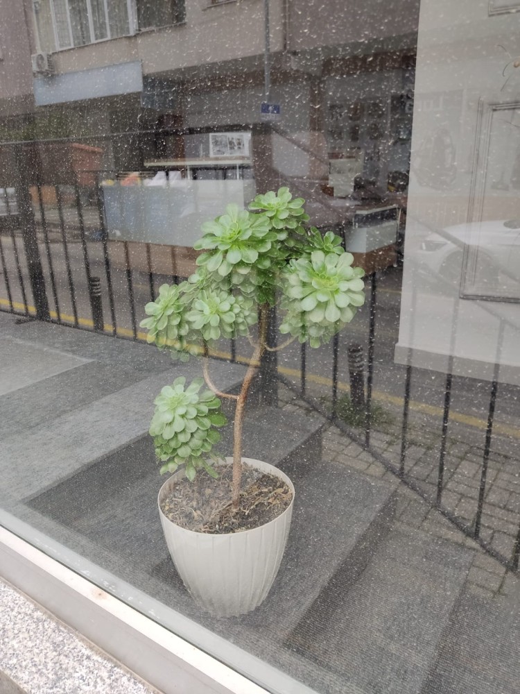 WhatsApp Image 2026-02-21 at 20.31.19.jpeg