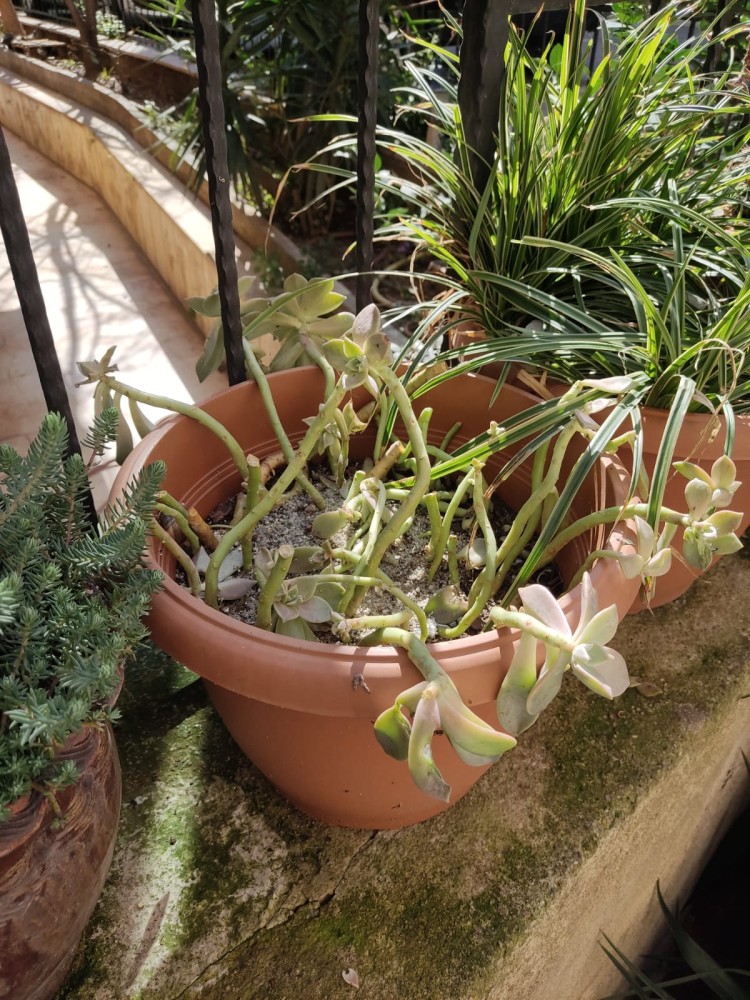 WhatsApp Image 2026-02-21 at 20.31.22.jpeg