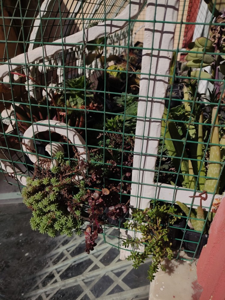 WhatsApp Image 2026-02-21 at 20.31.22 (1).jpeg