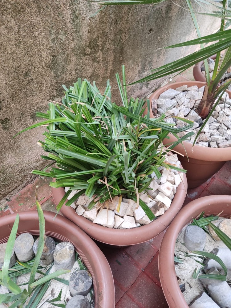 WhatsApp Image 2026-02-21 at 20.31.24 (1).jpeg