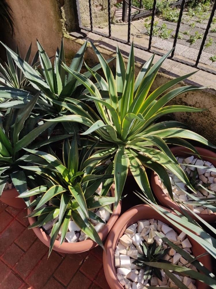 WhatsApp Image 2026-02-21 at 20.31.23.jpeg