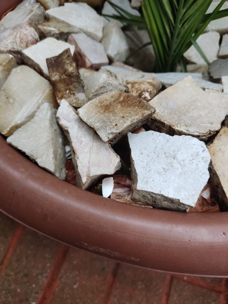 WhatsApp Image 2026-02-22 at 23.36.37 (1).jpeg