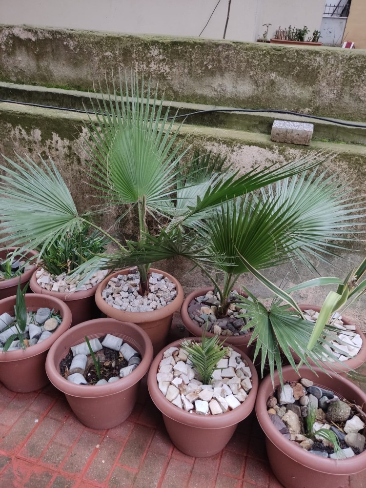 WhatsApp Image 2026-02-22 at 23.36.37 (2).jpeg