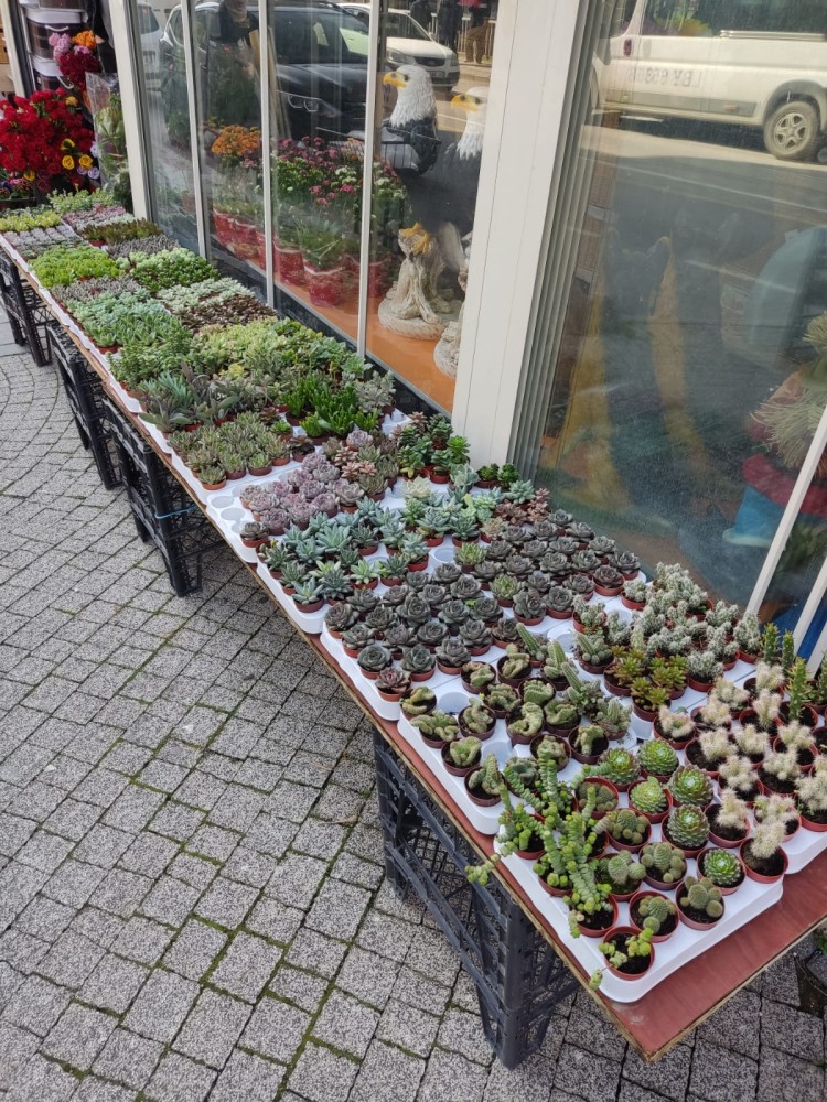 WhatsApp Image 2026-02-21 at 20.31.20 (2).jpeg