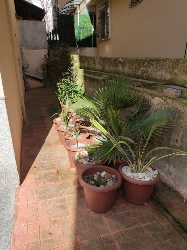 WhatsApp Image 2026-02-21 at 20.31.21.jpeg