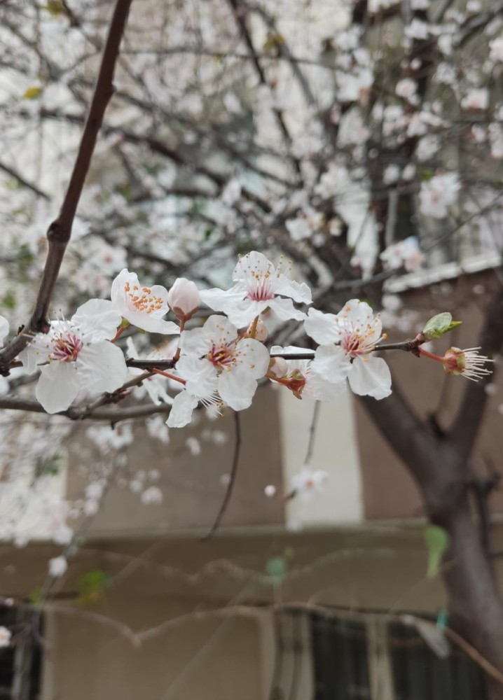 WhatsApp Image 2026-02-28 at 21.10.38 (1).jpeg