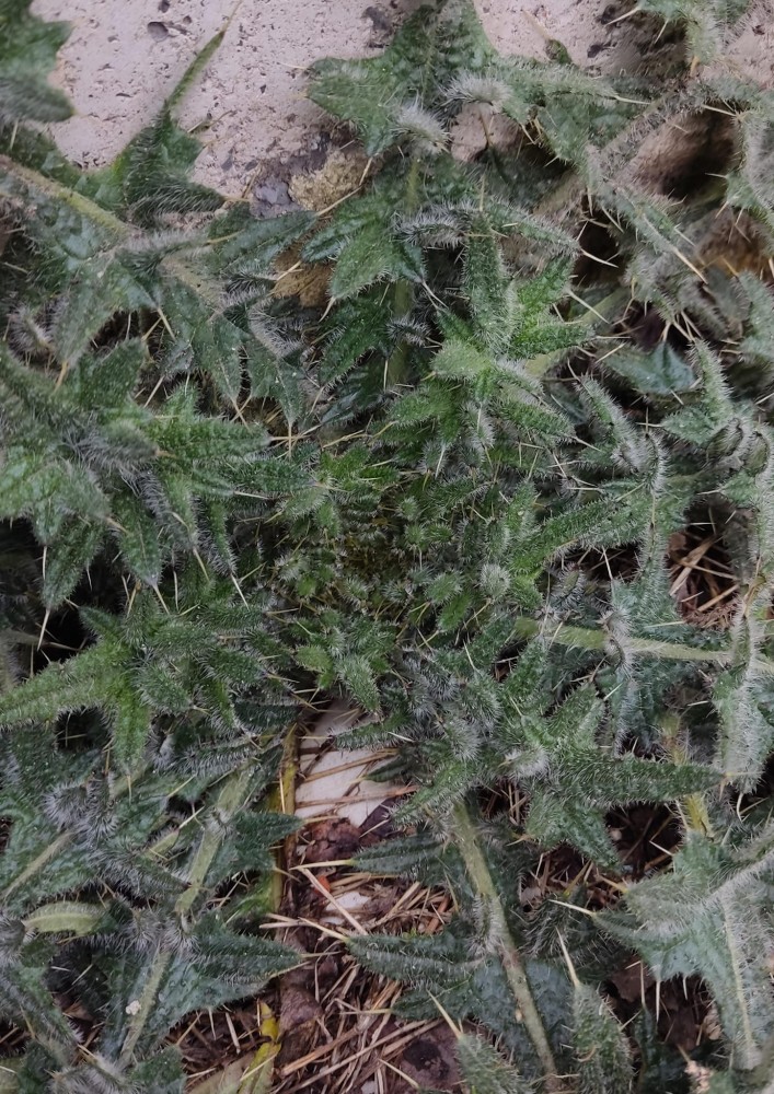 WhatsApp Image 2026-02-28 at 20.53.03.jpeg