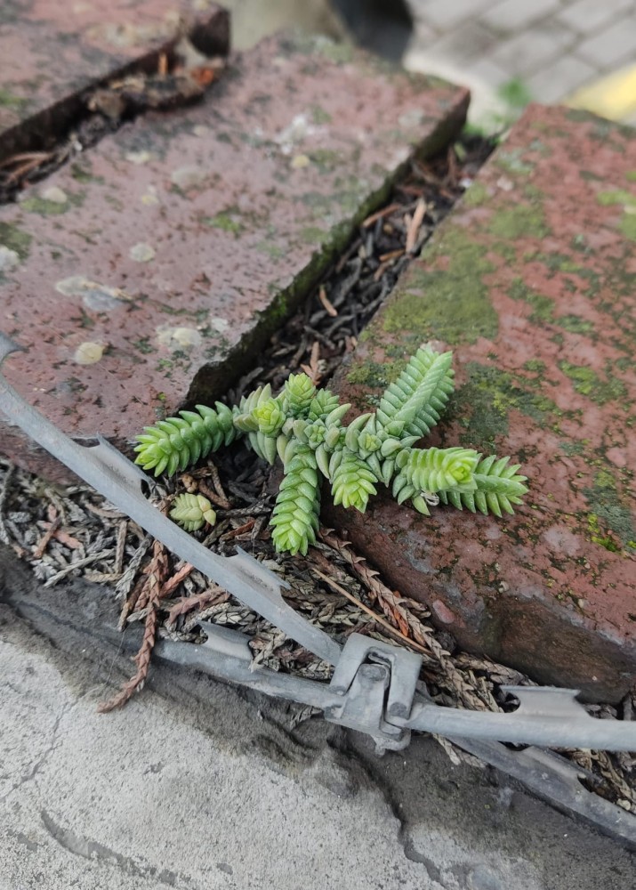 WhatsApp Image 2026-02-28 at 21.10.38.jpeg