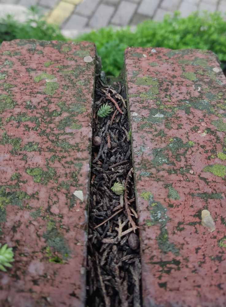 WhatsApp Image 2026-02-28 at 20.51.16.jpeg