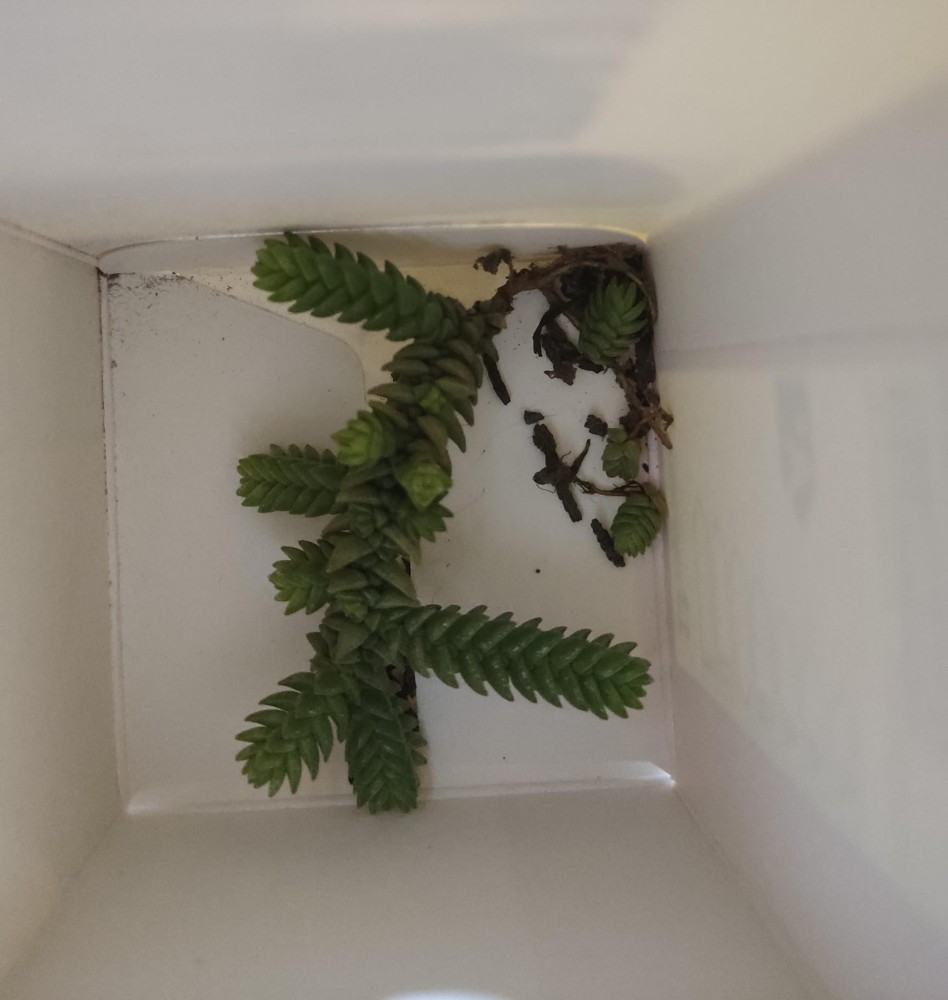 WhatsApp Image 2026-03-04 at 23.32.47.jpeg