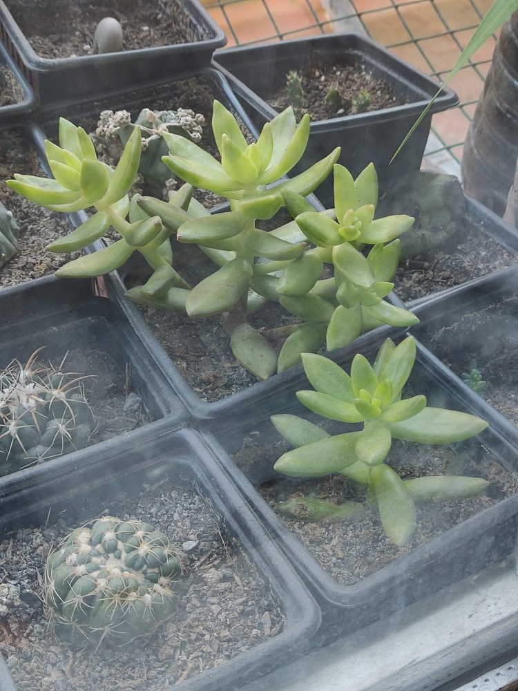 WhatsApp Image 2026-03-04 at 23.33.24 (1).jpeg