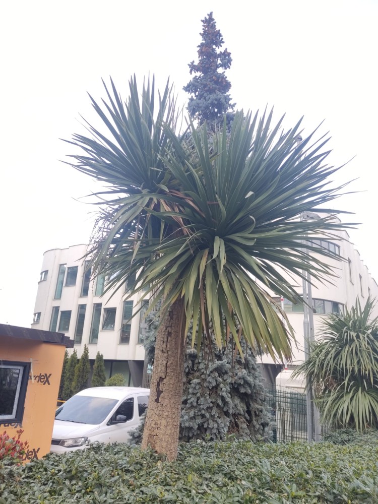 WhatsApp Image 2026-03-06 at 22.40.51 (1).jpeg