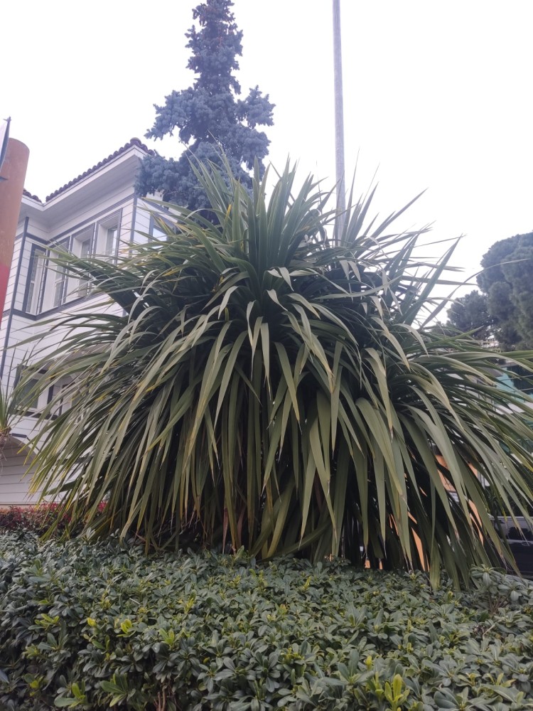 WhatsApp Image 2026-03-06 at 22.40.51.jpeg